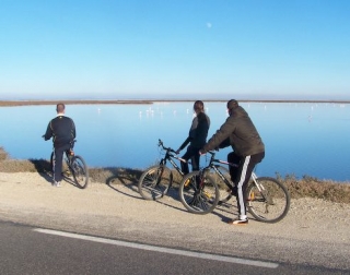 Sorties vtt en Camargue